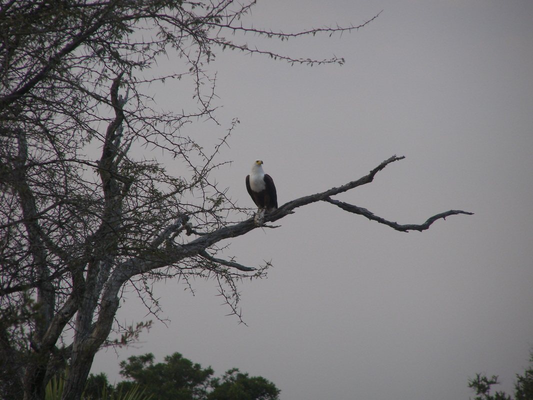 Lake Kariba (Zimbabwe)