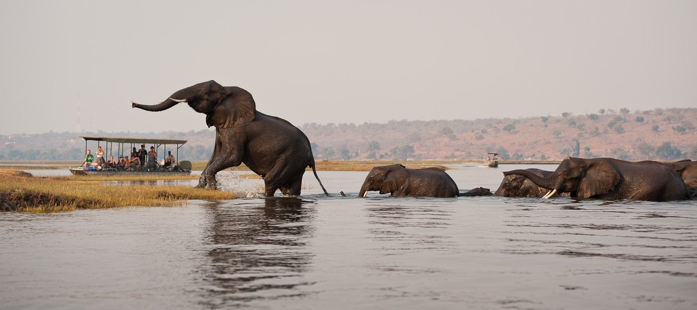 Chobe National Park