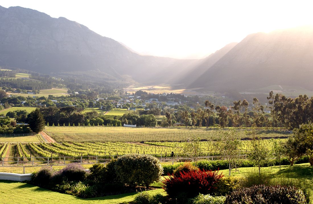 Cape Winelands