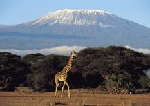 Amboseli National Park