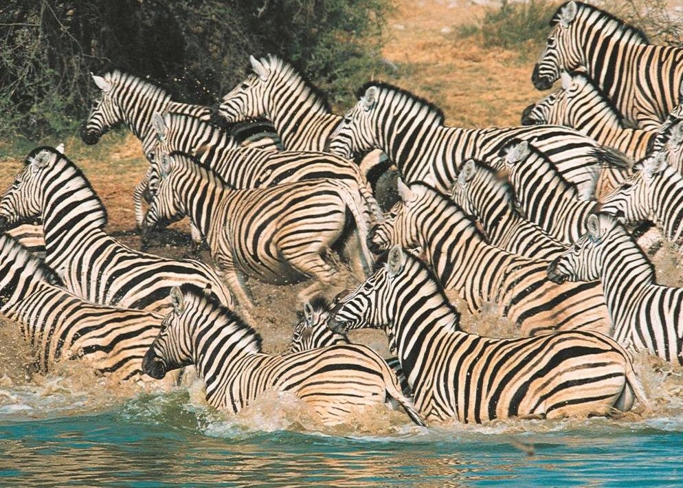 Masai Mara