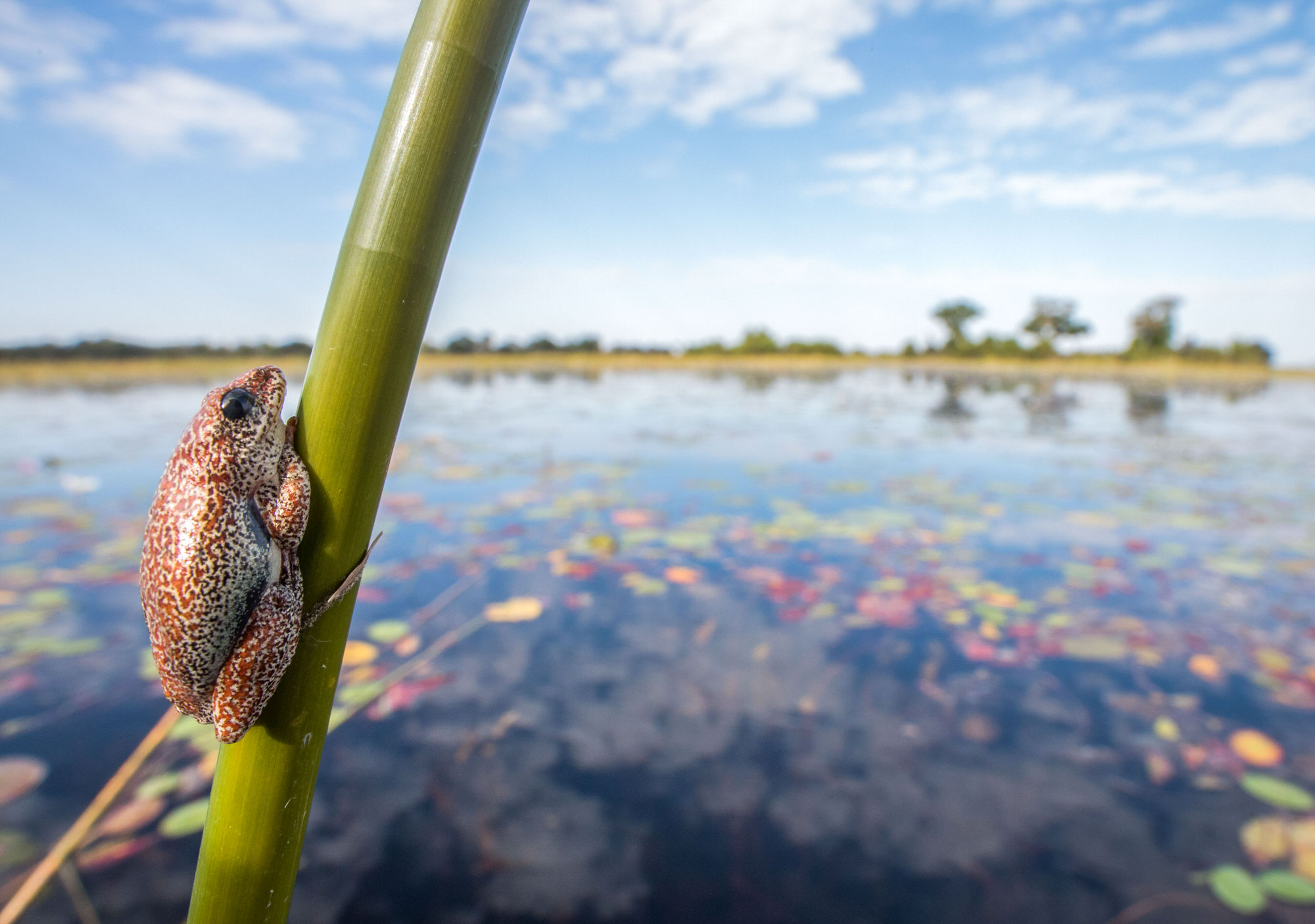 Cape to Delta Luxury